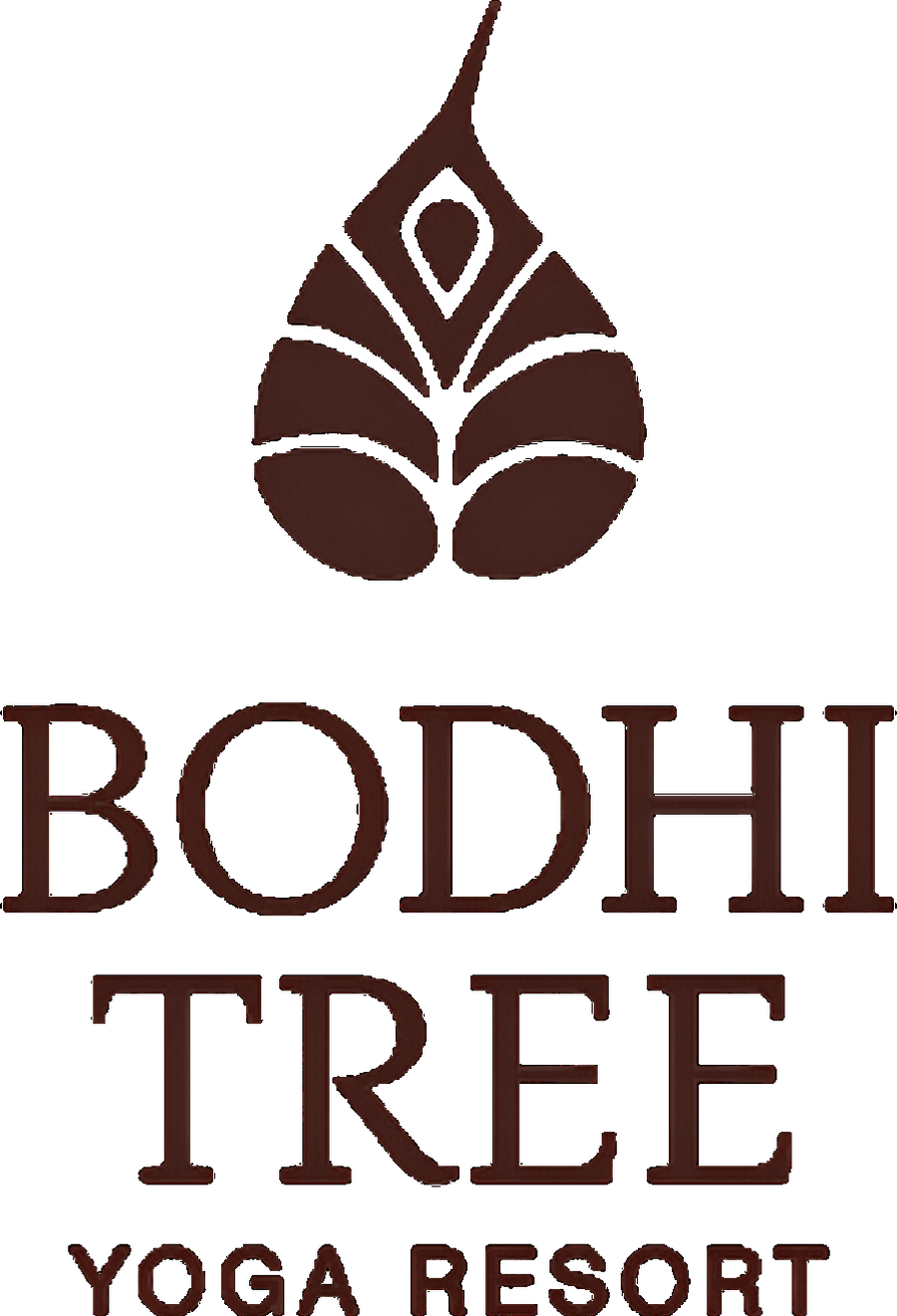 Bodhi Tree Yoga Resort